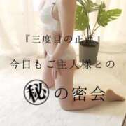 ヒメ日記 2025/08/28 18:00 投稿 きょうこ 涼泉（りょうせん）