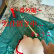 ヒメ日記 2025/08/29 18:00 投稿 きょうこ 涼泉（りょうせん）