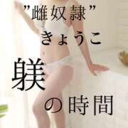 ヒメ日記 2025/09/22 15:00 投稿 きょうこ 涼泉（りょうせん）