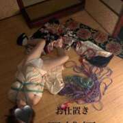 ヒメ日記 2025/10/08 14:00 投稿 きょうこ 涼泉（りょうせん）