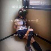 ヒメ日記 2025/10/17 12:40 投稿 きょうこ 涼泉（りょうせん）