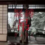 ヒメ日記 2025/10/20 20:02 投稿 きょうこ 涼泉（りょうせん）