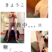 ヒメ日記 2025/11/01 14:00 投稿 きょうこ 涼泉（りょうせん）