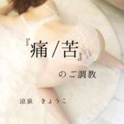 ヒメ日記 2025/11/02 10:01 投稿 きょうこ 涼泉（りょうせん）