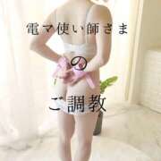 ヒメ日記 2025/11/09 13:01 投稿 きょうこ 涼泉（りょうせん）