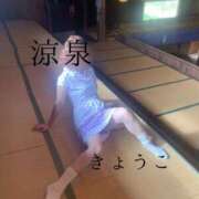 ヒメ日記 2025/11/13 09:01 投稿 きょうこ 涼泉（りょうせん）