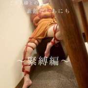 ヒメ日記 2025/11/15 17:00 投稿 きょうこ 涼泉（りょうせん）