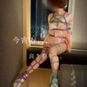 ヒメ日記 2025/11/15 23:21 投稿 きょうこ 涼泉（りょうせん）