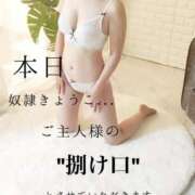 ヒメ日記 2025/12/01 18:00 投稿 きょうこ 涼泉（りょうせん）