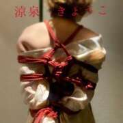 ヒメ日記 2025/12/05 17:00 投稿 きょうこ 涼泉（りょうせん）