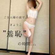 ヒメ日記 2025/12/10 18:00 投稿 きょうこ 涼泉（りょうせん）