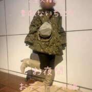 ヒメ日記 2025/12/20 18:00 投稿 きょうこ 涼泉（りょうせん）