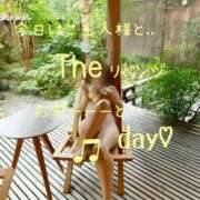 ヒメ日記 2026/01/12 08:30 投稿 きょうこ 涼泉（りょうせん）