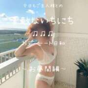 ヒメ日記 2026/01/23 15:57 投稿 きょうこ 涼泉（りょうせん）