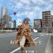 ヒメ日記 2026/01/26 09:01 投稿 きょうこ 涼泉（りょうせん）