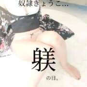 ヒメ日記 2026/02/08 16:00 投稿 きょうこ 涼泉（りょうせん）