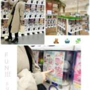 ヒメ日記 2026/02/23 18:01 投稿 きょうこ 涼泉（りょうせん）