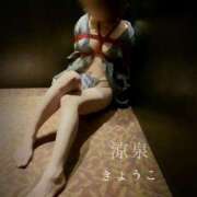 ヒメ日記 2026/03/09 08:01 投稿 きょうこ 涼泉（りょうせん）