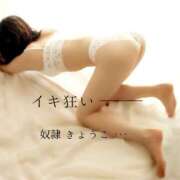 ヒメ日記 2026/03/09 12:02 投稿 きょうこ 涼泉（りょうせん）