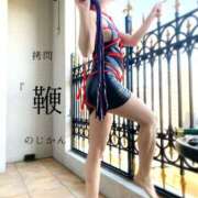 ヒメ日記 2026/03/09 18:01 投稿 きょうこ 涼泉（りょうせん）