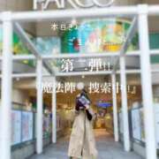 ヒメ日記 2026/03/18 11:01 投稿 きょうこ 涼泉（りょうせん）