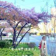 ヒメ日記 2026/03/19 09:00 投稿 きょうこ 涼泉（りょうせん）