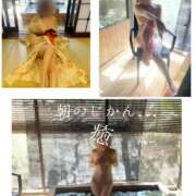 ヒメ日記 2026/03/20 08:00 投稿 きょうこ 涼泉（りょうせん）