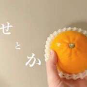 ヒメ日記 2026/03/20 15:00 投稿 きょうこ 涼泉（りょうせん）