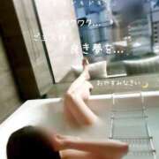 ヒメ日記 2026/03/21 23:00 投稿 きょうこ 涼泉（りょうせん）