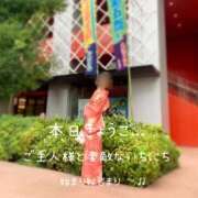 ヒメ日記 2026/03/22 07:00 投稿 きょうこ 涼泉（りょうせん）