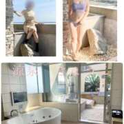 ヒメ日記 2026/03/22 16:00 投稿 きょうこ 涼泉（りょうせん）