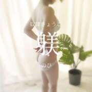 ヒメ日記 2026/03/23 10:00 投稿 きょうこ 涼泉（りょうせん）