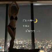 ヒメ日記 2026/04/06 00:14 投稿 きょうこ 涼泉（りょうせん）