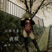 ヒメ日記 2026/04/06 18:01 投稿 きょうこ 涼泉（りょうせん）