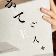 ヒメ日記 2026/04/14 11:00 投稿 きょうこ 涼泉（りょうせん）