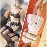 ヒメ日記 2026/04/19 09:01 投稿 きょうこ 涼泉（りょうせん）