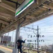 ヒメ日記 2026/04/22 19:08 投稿 きょうこ 涼泉（りょうせん）