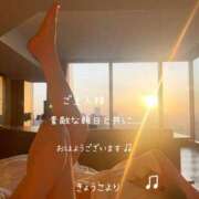 ヒメ日記 2026/07/10 09:01 投稿 きょうこ 涼泉（りょうせん）