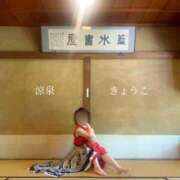 ヒメ日記 2026/07/28 15:01 投稿 きょうこ 涼泉（りょうせん）