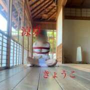 ヒメ日記 2026/10/02 09:02 投稿 きょうこ 涼泉（りょうせん）