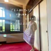 ヒメ日記 2026/10/12 13:00 投稿 きょうこ 涼泉（りょうせん）
