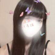 ヒメ日記 2024/12/20 16:35 投稿 いろは 涼泉（りょうせん）