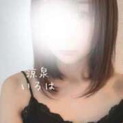 ヒメ日記 2025/02/02 16:59 投稿 いろは 涼泉（りょうせん）