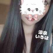 ヒメ日記 2025/06/24 09:21 投稿 いろは 涼泉（りょうせん）