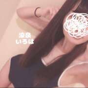 ヒメ日記 2025/06/28 09:30 投稿 いろは 涼泉（りょうせん）