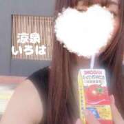 ヒメ日記 2025/07/10 15:43 投稿 いろは 涼泉（りょうせん）