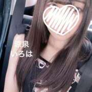 ヒメ日記 2025/07/25 15:38 投稿 いろは 涼泉（りょうせん）