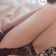 ヒメ日記 2025/07/29 07:15 投稿 いろは 涼泉（りょうせん）