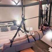 ヒメ日記 2025/08/31 19:01 投稿 いろは 涼泉（りょうせん）