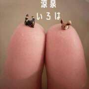 ヒメ日記 2026/10/12 19:45 投稿 いろは 涼泉（りょうせん）